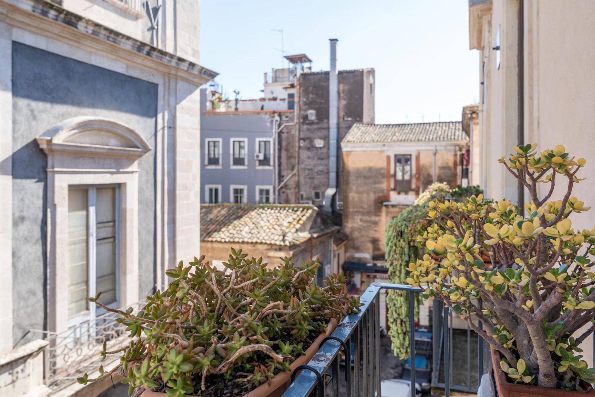 Amenano Apartments CTA Exteriér fotografie