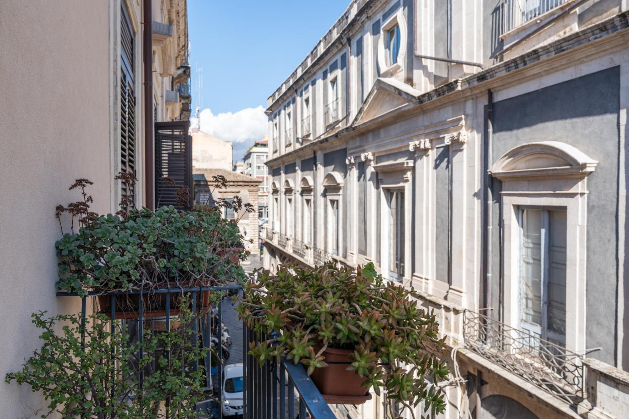 Amenano Apartments CTA Exteriér fotografie